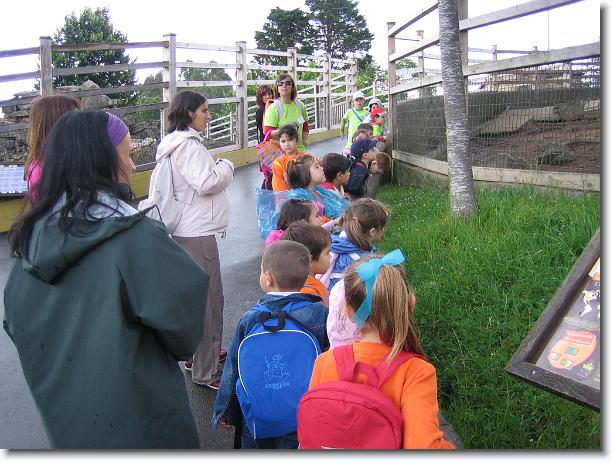 Diapositiva siguiente